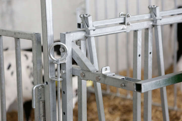 KERBL Modulare Zaunaufstallung Fanggitter